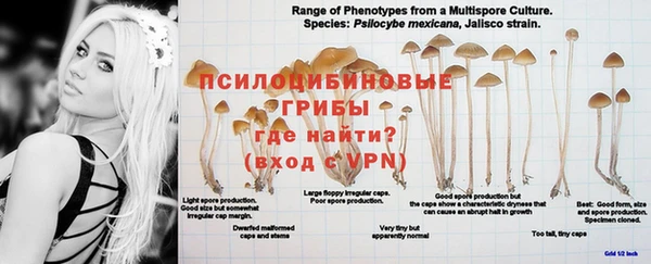 экстази Белоозёрский